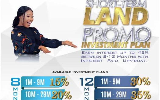land banking, land flipping, buy to sell land, short term investment option
